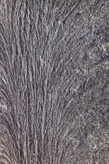 cracked stone rock in the style of grunge