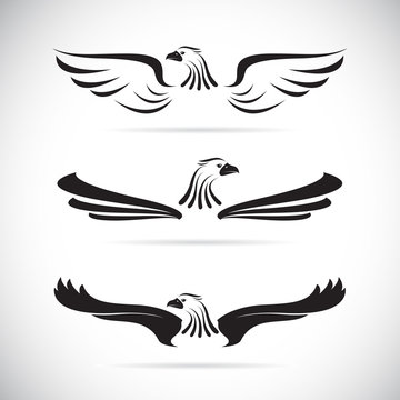 Vector image of an eagle on white background