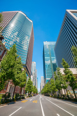 Street tree and Office Buildings