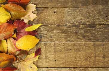 Naklejka na ściany i meble autumn leaves on a wooden background