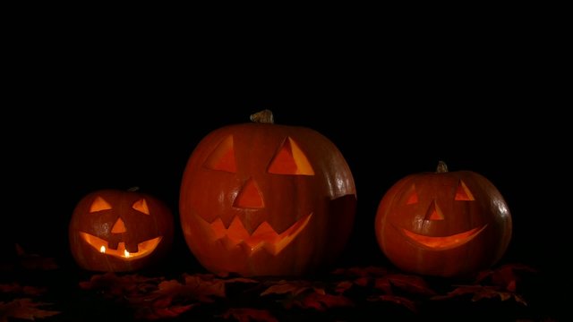 Hellowen pumpkin group