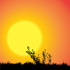 Vector silhouette of nature.