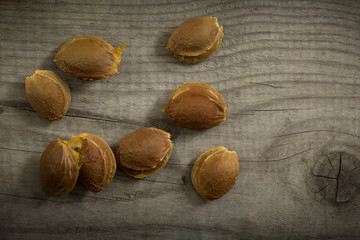Apricot seeds