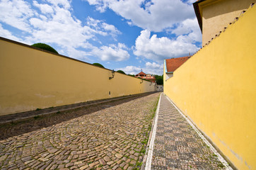 Obraz premium Narrow cobblestone street with wall, Prague, Czech Republic