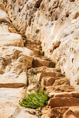 stone staircase leads