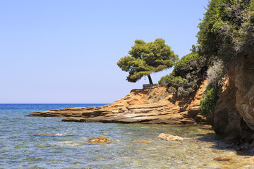 Fototapeta na wymiar Picturesque stone beach with vegetation.