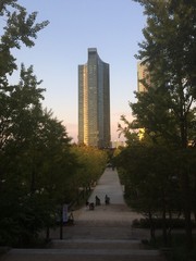 Obraz premium seoul woods