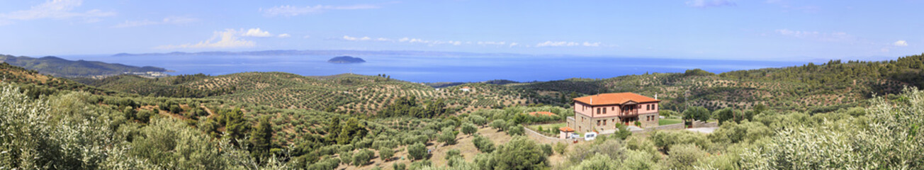 Fototapeta na wymiar Panorama of olive groves and estates on Aegean coast.