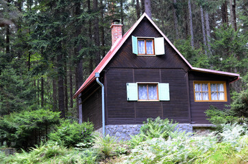 Fototapeta na wymiar cabin in the wood