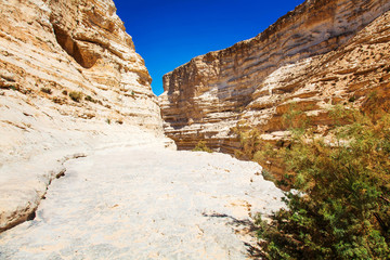 Fototapeta premium landscape of the Negev desert mountains