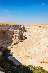 landscape of the gorge in the Negev desert