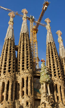 Cathedral Cagrada Familia.