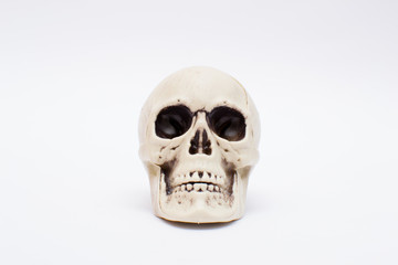 halloween skull