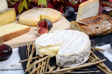 Camembert of Normandy with different French cheeses