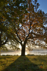 Obraz premium Autumn Park