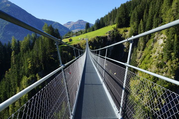Naklejka premium Suspension bridge in the Alps