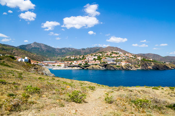 Fototapeta premium Collioure