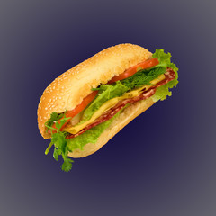 sandwich on dark background