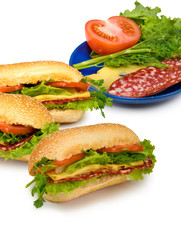 sandwich on a white background