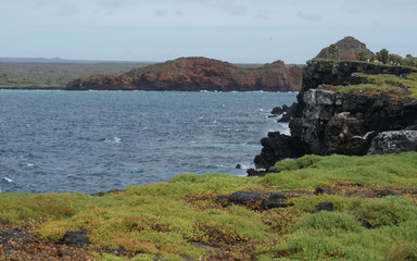 îles des Galapagos