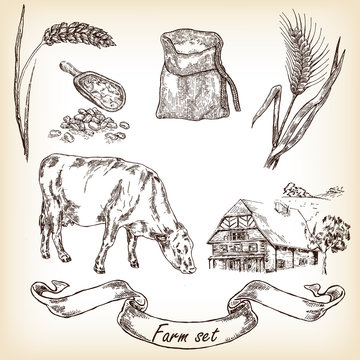 Farm set. Hand drawn illustration of cow, house, grain, wheat