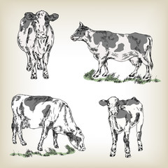 Milk cow set. Hand drawn vector illustration in sketch style