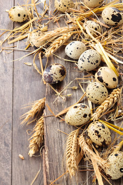 Qail eggs.