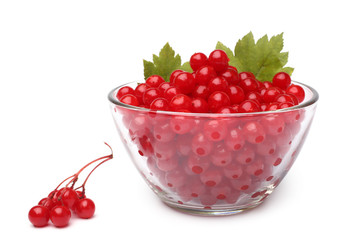 Red berries of viburnum in glass bowl