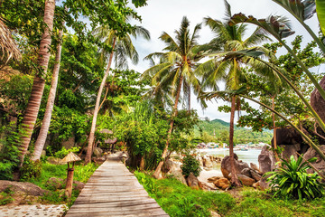 beautiful tropical garden