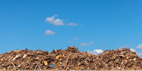 Large pile of wood on a garbage depot