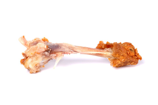 chicken bone isolated white