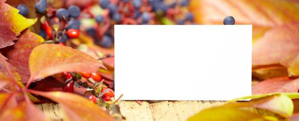Blank place card amongst autumn leaves