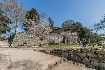 Fototapeta na wymiar 備中松山城の石垣