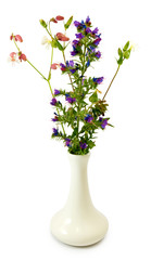 flowers in a vase