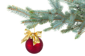 red  christmas ball decorations   on fir tree