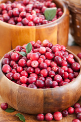 Fresh red cranberry