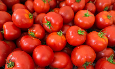 red tomatoes background.  Group of tomatoes