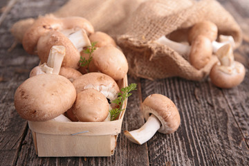 fresh mushrooms