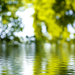 Obraz na płótnie Canvas water on a blurred green background