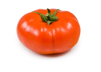 tomato on white background