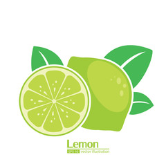 lemon illustrator vector