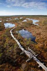 View to walking trail in swamp, Kemeri National Park in Latvia