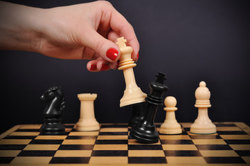 checkmate © vetkit