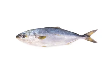 Cercles muraux Poisson Fresh fish (hamachi fish) on white background.