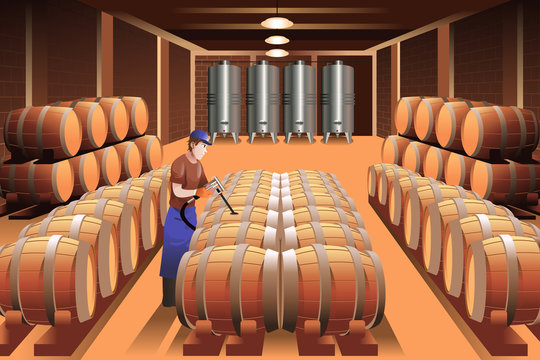 Worker in a winery