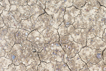 Parched ground