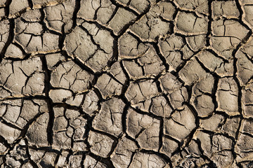 Natural texture. Closeup of wet cracked ground