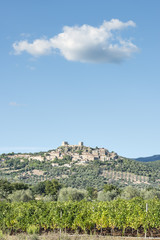 Fototapeta na wymiar View to Montemassi Tuscany