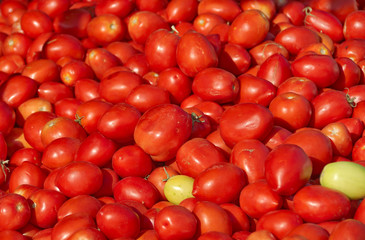 Israel market produce: fresh red tomatoes