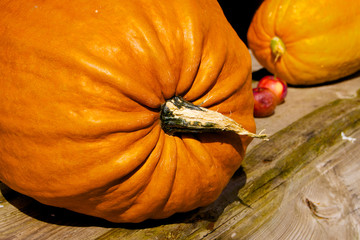 Pumpkin arrangement